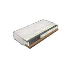 АИДА ЕДНОЛИЦЕВ